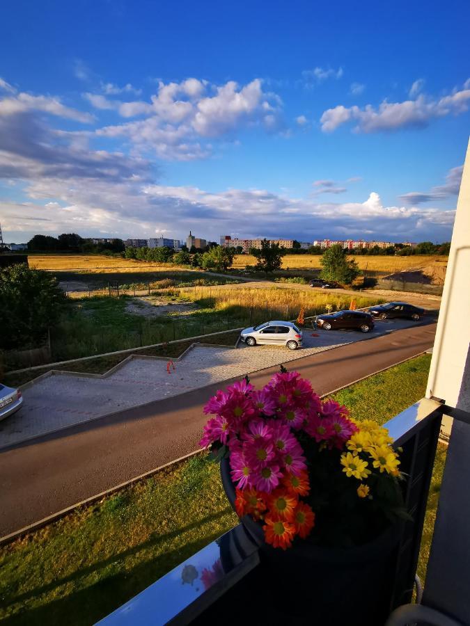 Teo Apartment Brasov Exterior photo